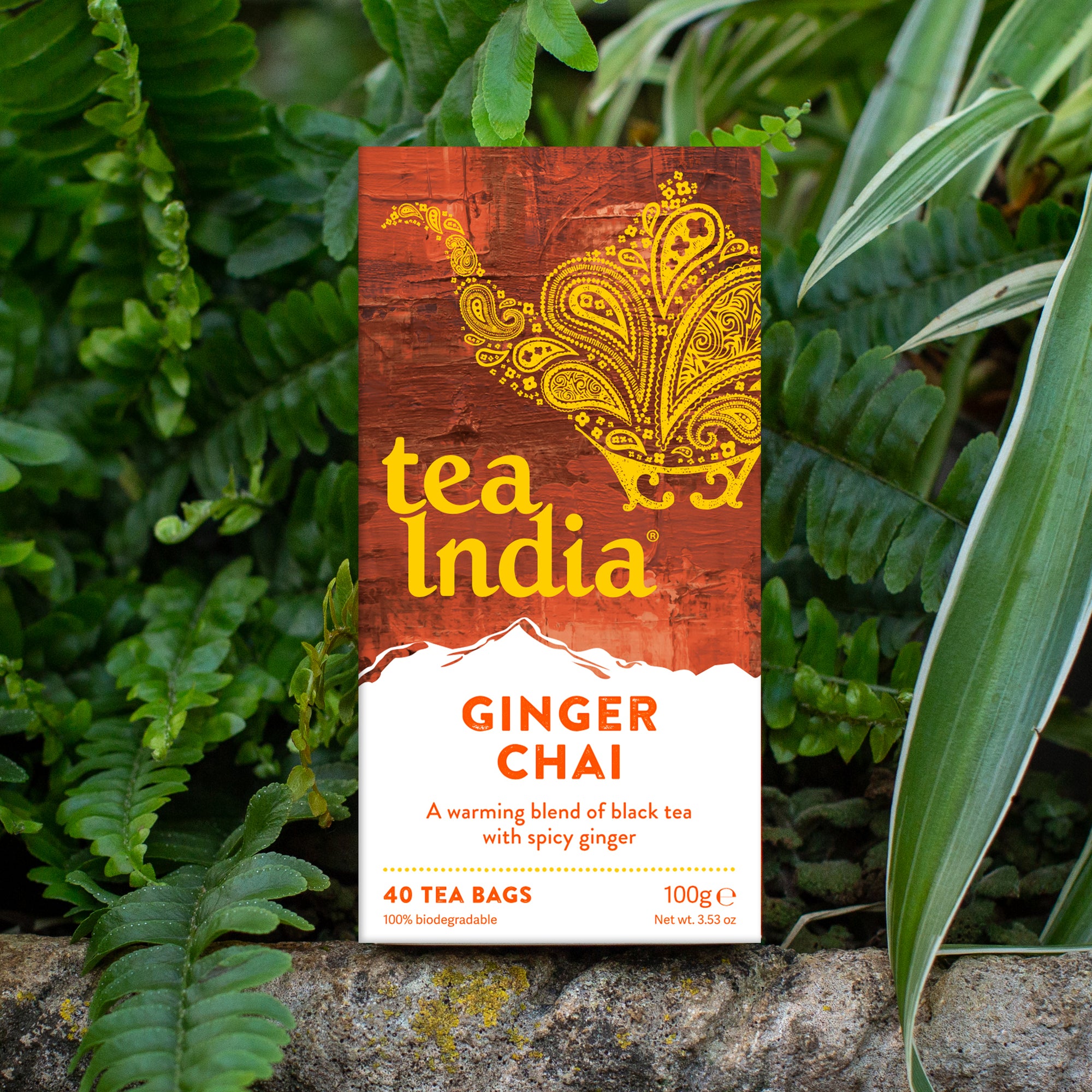 Ginger Chai