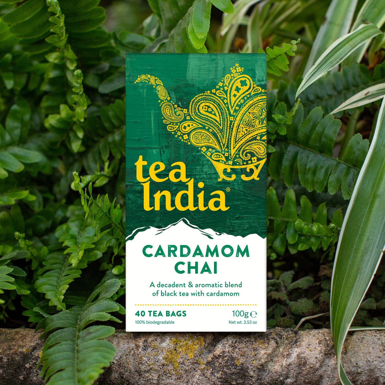 Cardamom Chai Tea Bags Buy Online Tea India