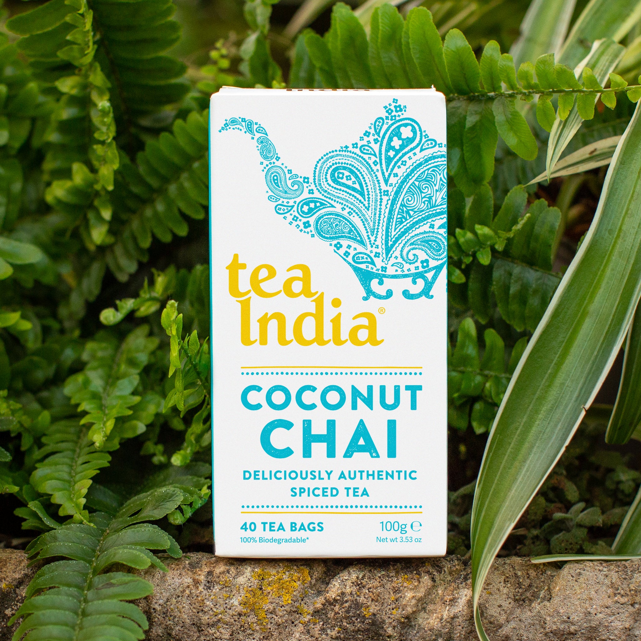 Coconut Chai Tea Bags Buy Online Tea India